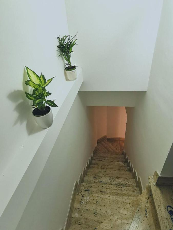 Apartment Casa 